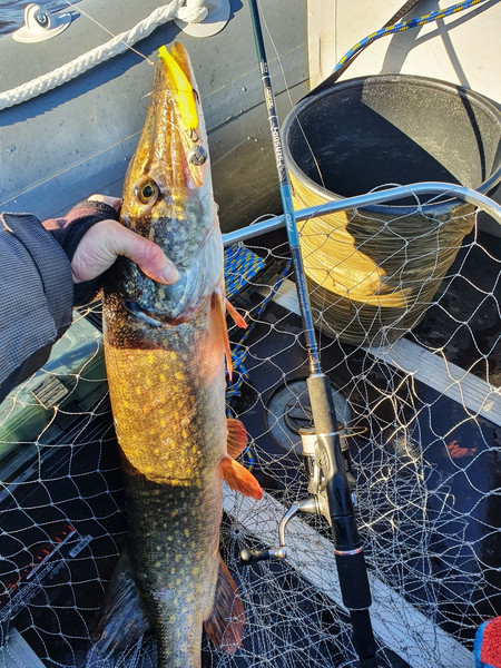 Изображение товара Спиннинг Волжанка Pro Sport Sensor тест 6-32гр /  025-0111 (2.45м)