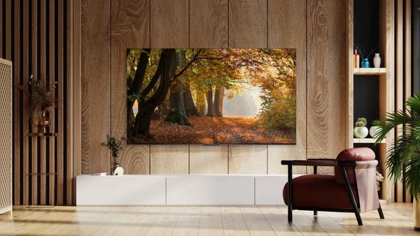 Изображение товара Телевизор TCL 50" 50P655