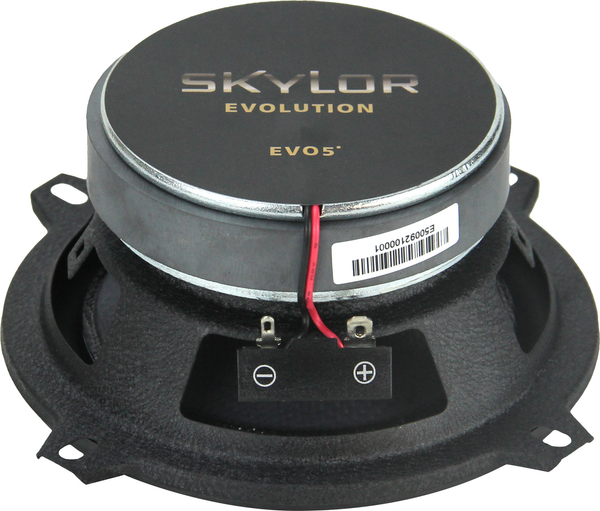 Изображение товара Коаксиальная АС Skylor EVO5 coax