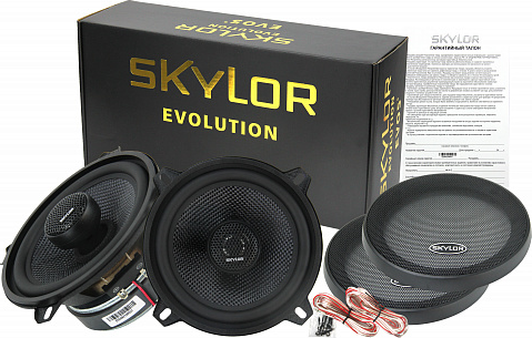 Изображение товара Коаксиальная АС Skylor EVO5 coax