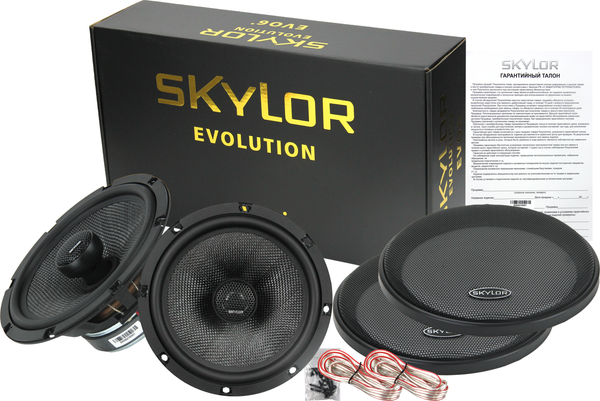 Изображение товара Коаксиальная АС Skylor EVO6 coax