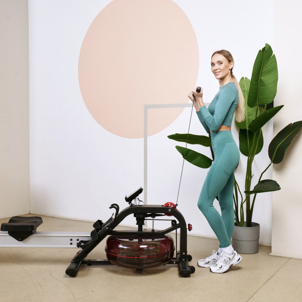 Изображение товара Гребной тренажер DFC PoMt PMWR2020