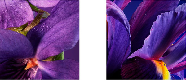 Изображение товара Туалетная вода Guerlain Insolence (75мл)