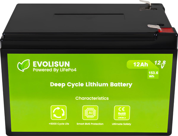 Изображение товара Аккумуляторная батарея EVOLISUN LiFePO4 12.8V 20A (12 А/ч)