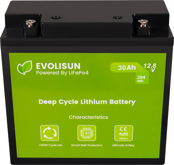 Изображение товара Аккумуляторная батарея EVOLISUN LiFePO4 12.8V 30A (30 А/ч)