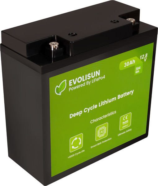 Изображение товара Аккумуляторная батарея EVOLISUN LiFePO4 12.8V 30A (30 А/ч)