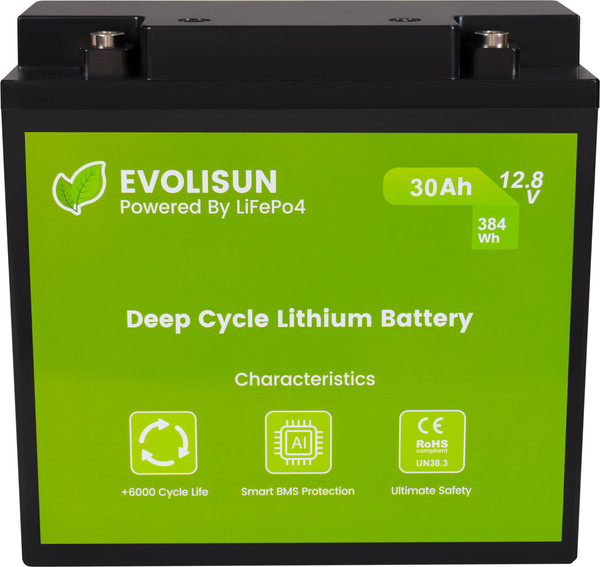 Изображение товара Аккумуляторная батарея EVOLISUN LiFePO4 12.8V 30A (30 А/ч)