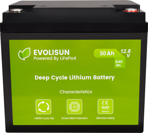 Изображение товара Аккумуляторная батарея EVOLISUN LiFePO4 12.8V 50A (50 А/ч)
