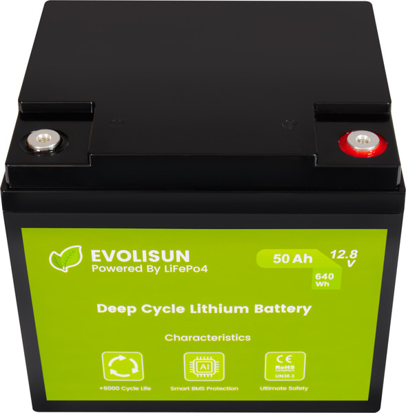 Изображение товара Аккумуляторная батарея EVOLISUN LiFePO4 12.8V 50A (50 А/ч)