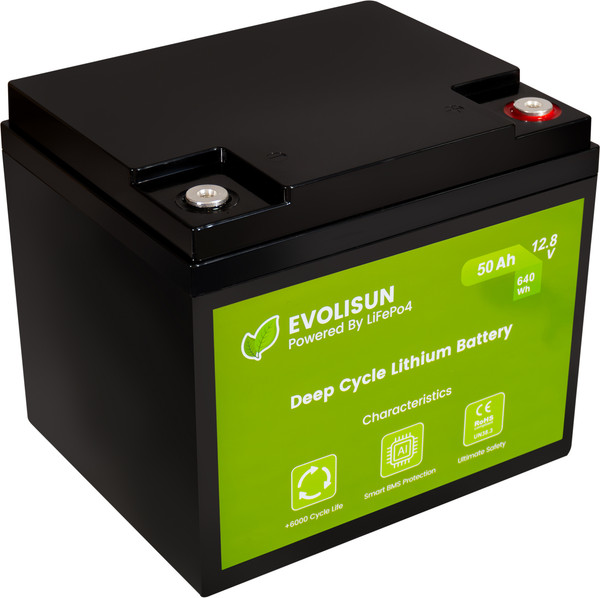 Изображение товара Аккумуляторная батарея EVOLISUN LiFePO4 12.8V 50A (50 А/ч)