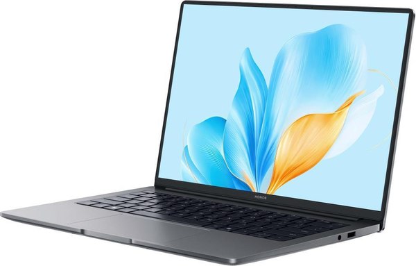 Изображение товара Ноутбук Honor MagicBook X14 (5301ALXJ)