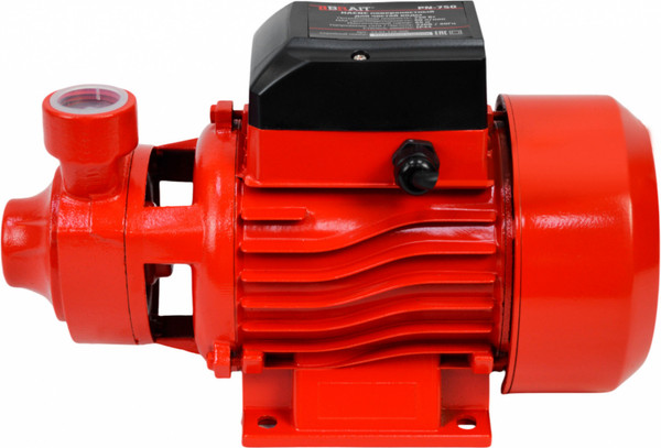 Изображение товара Поверхностный насос Brait PN-750