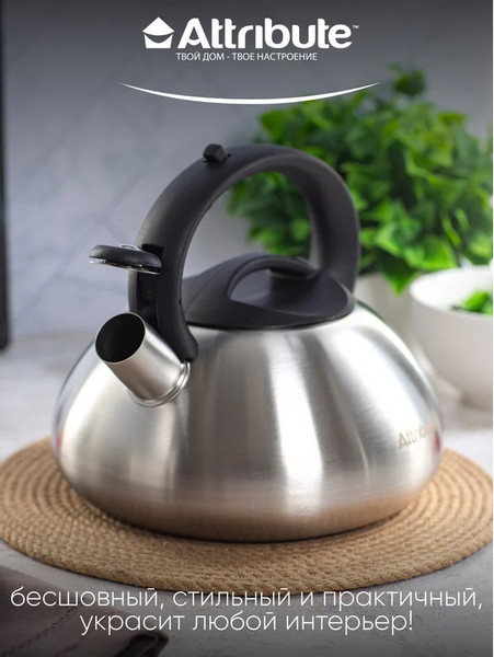 Изображение товара Чайник со свистком Attribute Duet ASD004