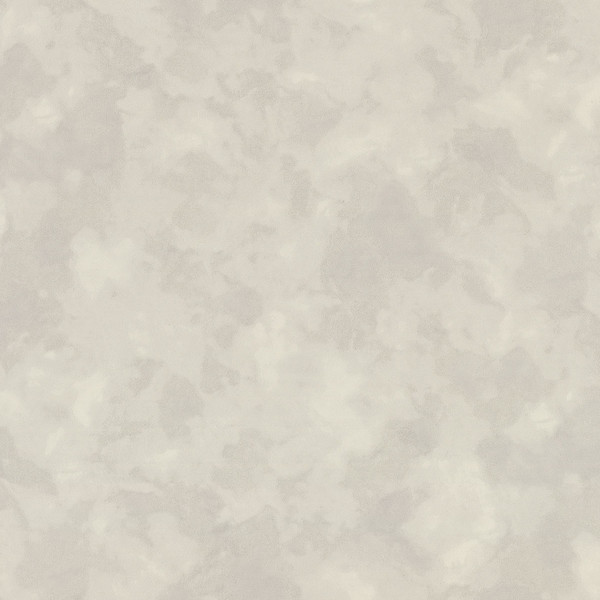 Изображение товара Виниловые обои Euro Decor 9250-02