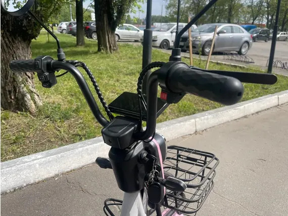 Изображение товара Электровелосипед AVM Delta Lite (розовый)