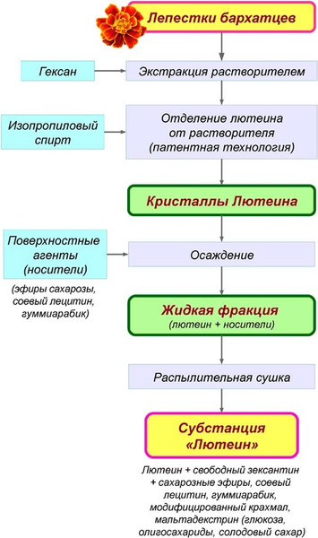 Изображение товара Пищевая добавка RealCaps Лютеин 100% 476мг (60капсул)