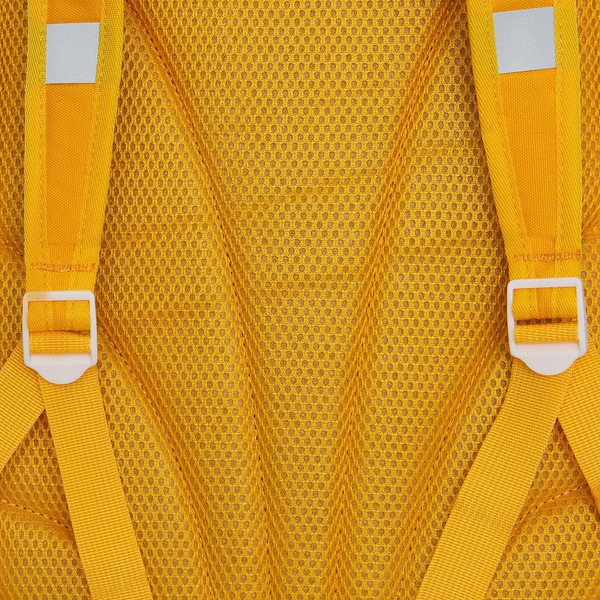 Изображение товара Школьный рюкзак Grizzly RG-563-3 (желтый)