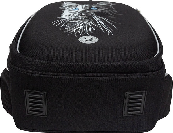 Изображение товара Школьный рюкзак Grizzly RAz-586-15 (черный)