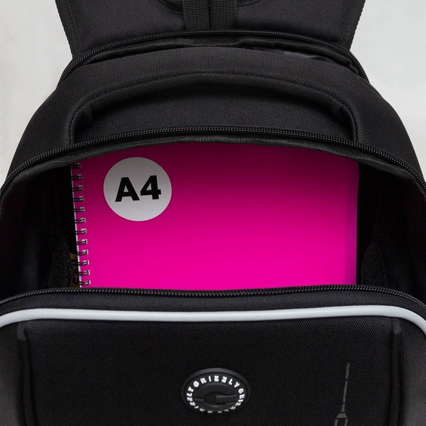 Изображение товара Школьный рюкзак Grizzly RAf-593-6 (черный)