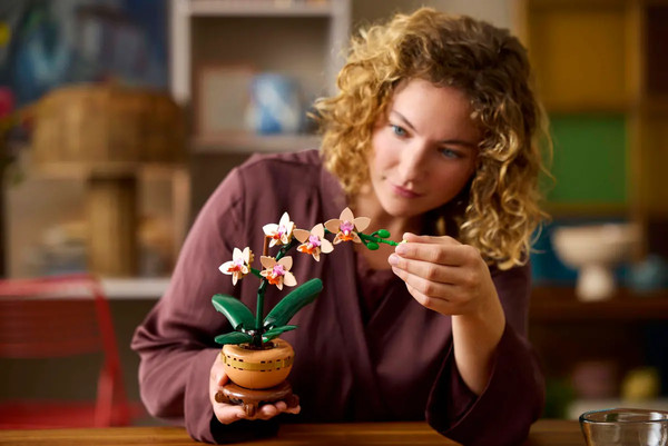 Изображение товара Конструктор Lego Botanicals Мини-орхидея 10343