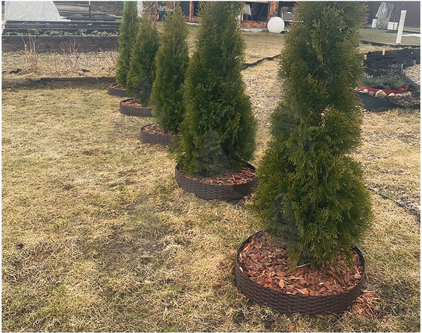 Изображение товара Бордюр садовый Протэкт Ротанг 3.2м 10024 (коричневый)