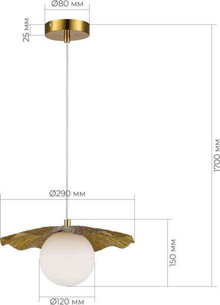 Изображение товара Потолочный светильник Evoluce SLE1196-303-01
