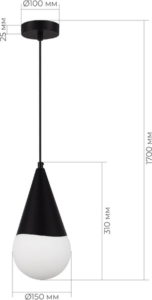 Изображение товара Потолочный светильник Evoluce SLE1197-403-01