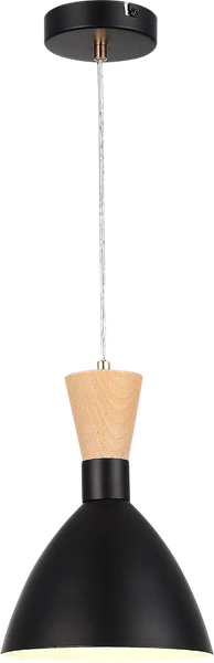 Изображение товара Потолочный светильник Evoluce SLE1256-403-01