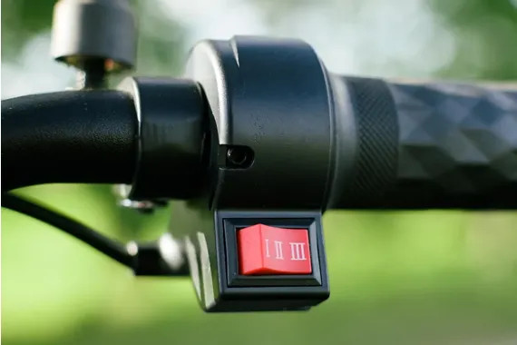 Изображение товара Электровелосипед AVM Delta Lite (красный)