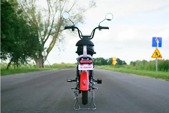 Изображение товара Электровелосипед AVM Delta Lite (красный)