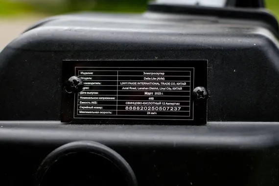 Изображение товара Электровелосипед AVM Delta Lite (черный)