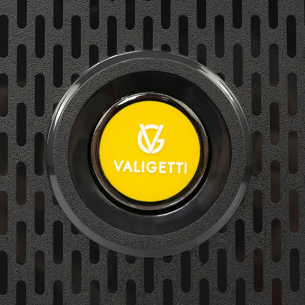 Изображение товара Чемодан на колесах Valigetti 344-2201/2-20BYL (черный)