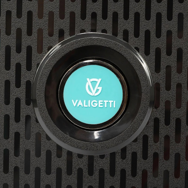 Изображение товара Чемодан на колесах Valigetti 344-2201/2-24BBR (черный)
