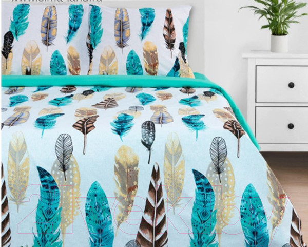 Изображение товара Комплект постельного белья Этель Перья / 2759794