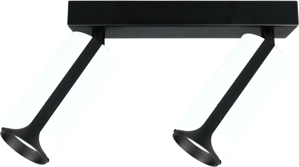 Изображение товара Спот General Lighting GWL-GU10-M-IP20 / 661710