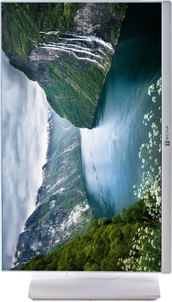 Изображение товара Моноблок Тесла P27WPQ / 2116500