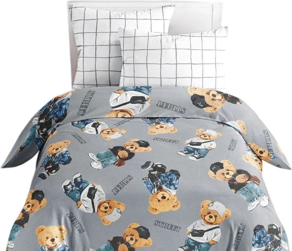 Изображение товара Комплект постельного белья ВАСИЛЕК Тинейджер 24 500309/1