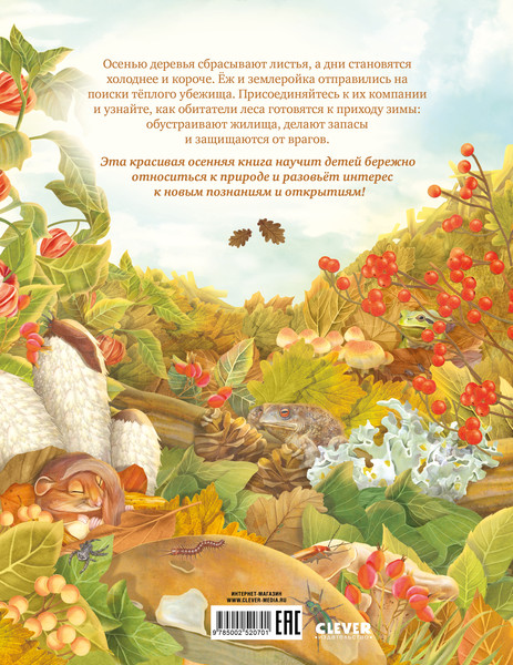 Изображение товара Энциклопедия CLEVER Секреты осеннего леса. Визуальная энциклопедия, твердая обложка (Вальчик Яна)