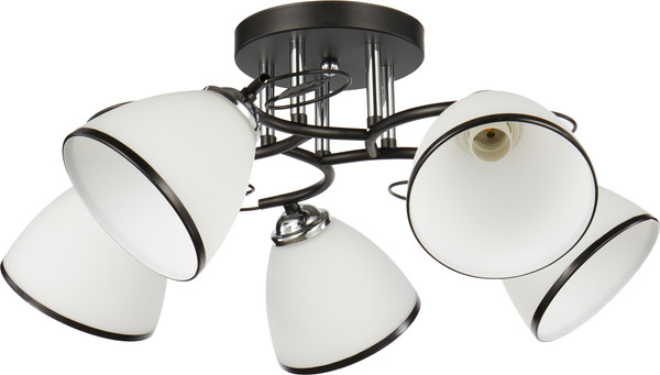 Изображение товара Потолочный светильник Mirastyle WX-10138/5 BK+CR