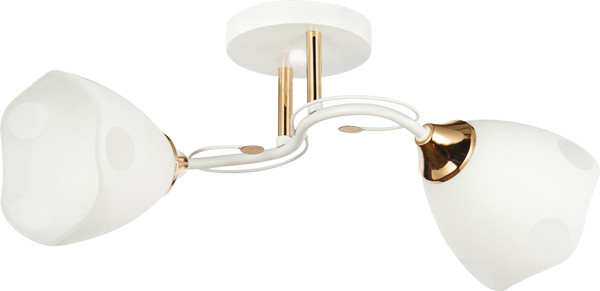 Изображение товара Потолочный светильник Mirastyle WX-6104/2 WH+FGD