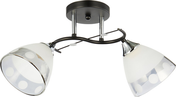 Изображение товара Потолочный светильник Mirastyle WX-6116/2 BK+CR