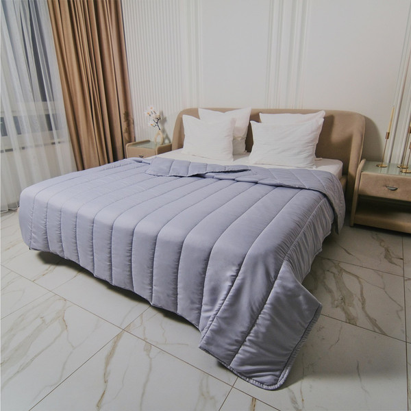 Изображение товара Одеяло Реноме Deluxe Swan 1.5сп 140x205 42/385  (микрофибра, 150)