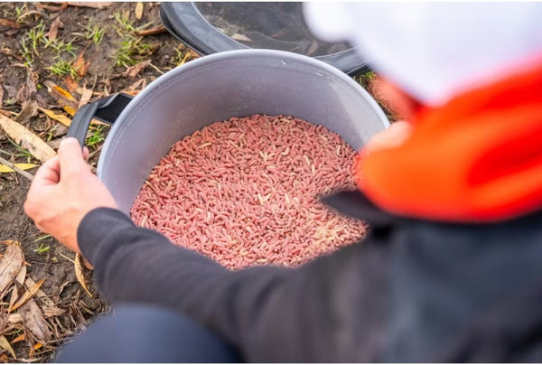 Изображение товара Ведро рыболовное Guru Fusion Ventilator EVA / GLG053 (10л)