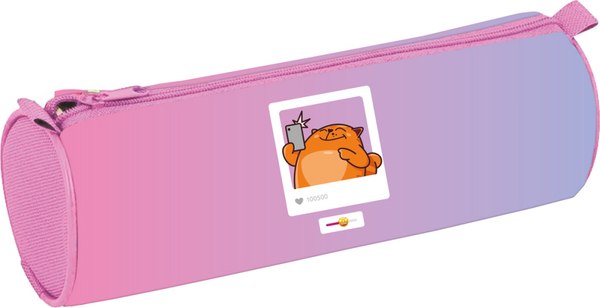 Изображение товара Пенал ArtSpace Cat Selfie / Sch_65177