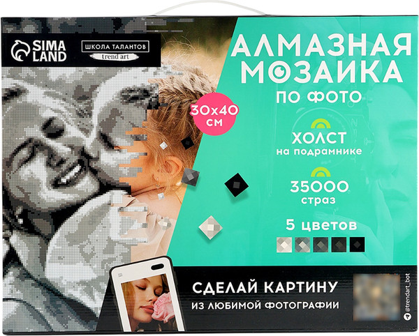 Изображение товара Набор алмазной вышивки Школа талантов Gray / 10699408