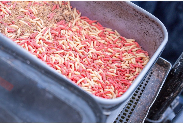 Изображение товара Емкость для прикормки Guru Fusion Ventilator EVA / GLG048 (3шт)