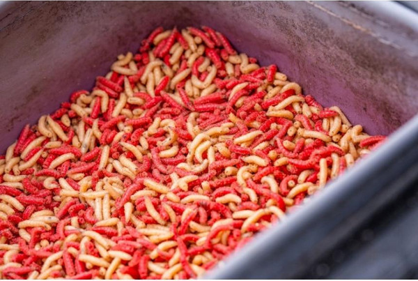 Изображение товара Емкость для прикормки Guru Fusion Ventilator EVA / GLG049 (5шт)