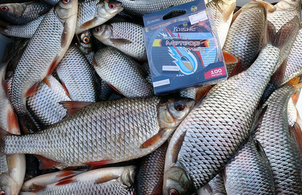 Изображение товара Леска монофильная Волжанка Метеор Поплавок 0.12мм 1.26кг / ML-PP-012 (100м, прозрачный)