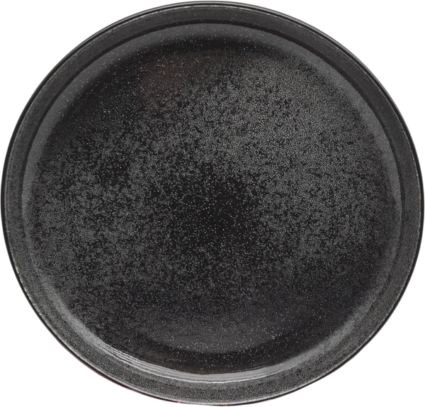 Изображение товара Тарелка столовая обеденная MONAMI S16-PL27