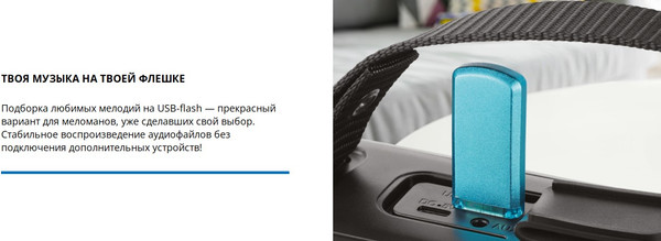 Изображение товара Портативная акустика Sven PS-235